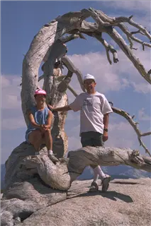 small_9708 4409 yosemiteIMG0008.webp